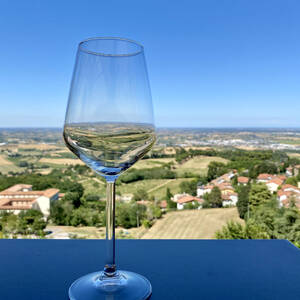 Enjoying the view from Bertinoro