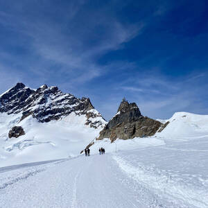 View towards Jungfrau along the glacier