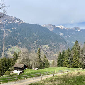 View from Wengen