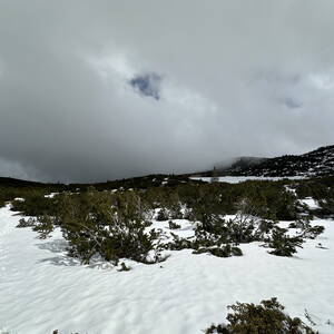 Snow-covered hike in Rila National Park