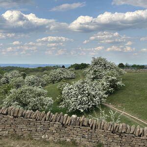 Hills of the Cotswolds near Broadway