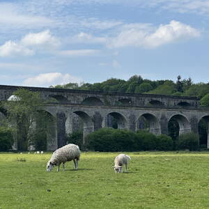 Meadow near the Chirk Aqueduct and Viaduct