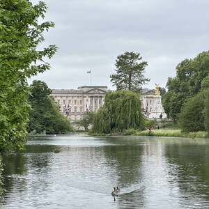 Buckingham Palace from St James's Park