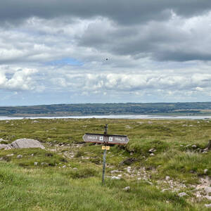 Part way along the trail from Tralee to Camp