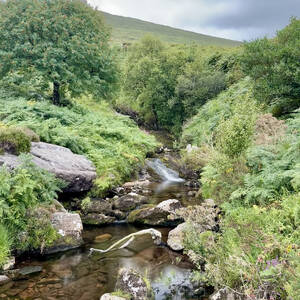 Creek on the slopes of the Slieve Mish Mountains