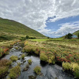 Creek on the hike from Camp to Annascaul
