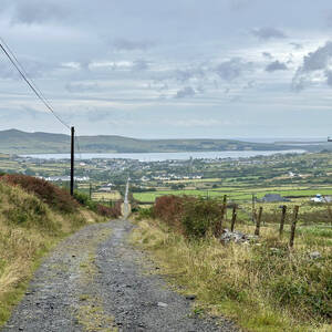 Old road in to Dingle