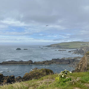 Cliffs and rocky shore along the west cost of Ireland